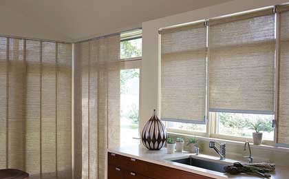 roller shades boise