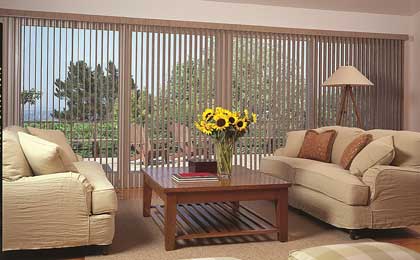 boise vertical blinds